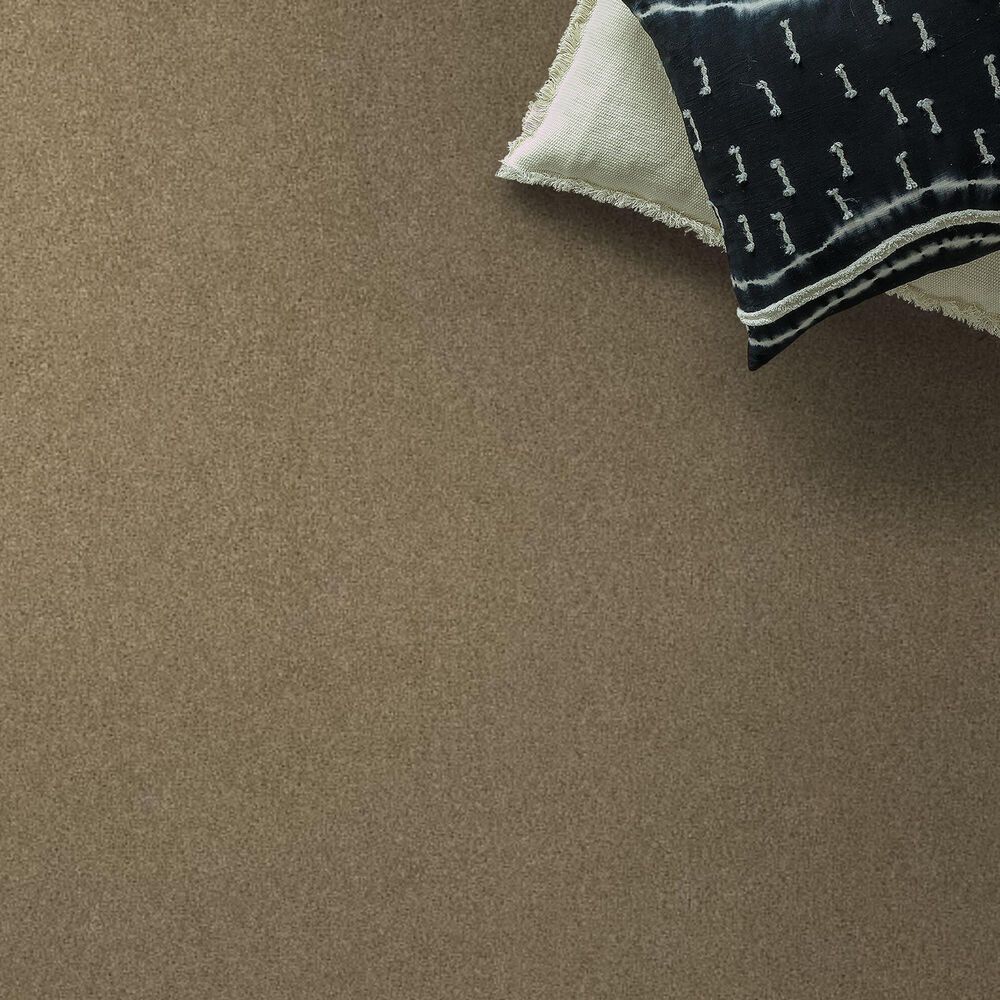 Shaw Phenomenal Carpet in Prairie, , large