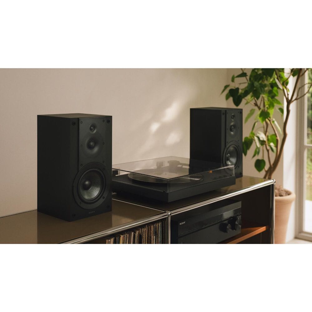 Sony Full Auto Playback Premium Turntable in Black, , large
