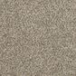Mohawk Furry Friends II Carpet in Highway, , large
