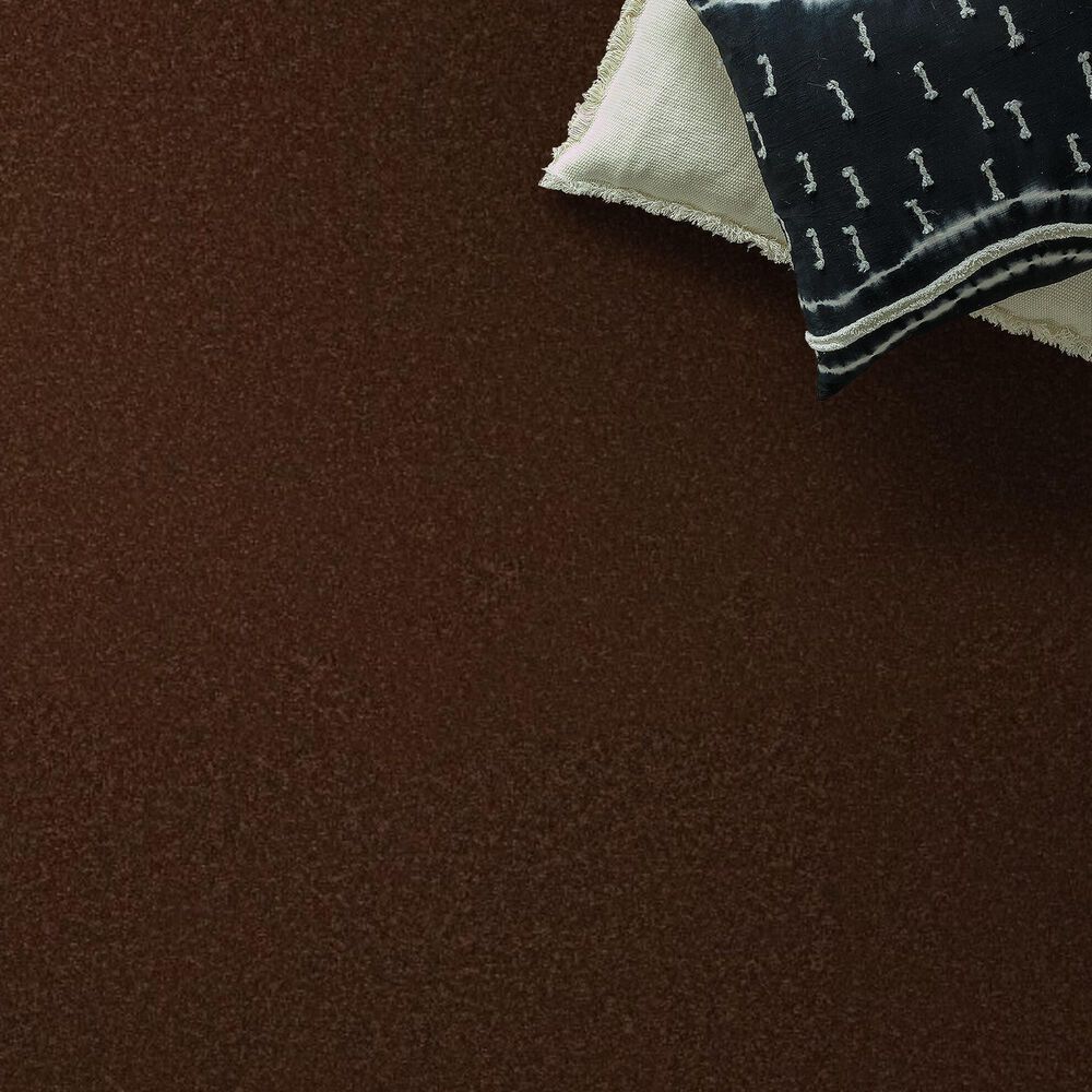 Anderson Tuftex Enchanting Carpet in Cinnabar, , large