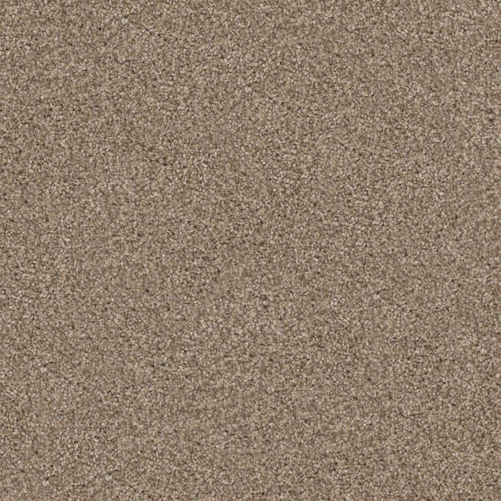 Dixie Home Trapper Carpet in Shar-Pei, , large