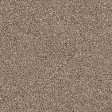 Dixie Home Trapper Carpet in Shar-Pei, , large