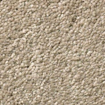 Shaw Well Grounded II 15" Carpet in Raw Lumber, , large