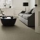 Shaw Simply the Best Cabana Life Tonal Carpet in Pebble Creek, , large