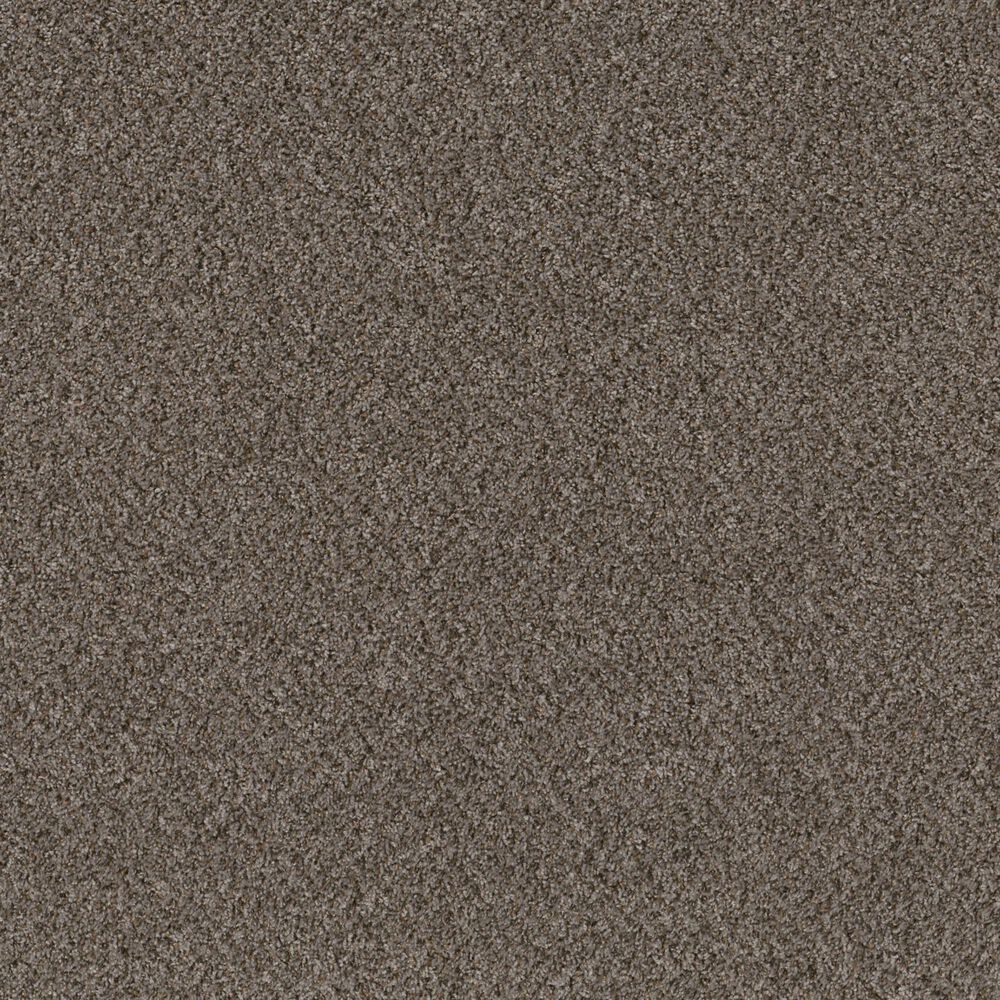 Philadelphia Mixed Essentials Carpet in Raven, , large