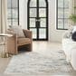 Nourison Glitz GLZ11 Grey and Multicolor 5"3" x 7"3" Area Rug, , large