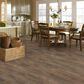 Shaw Olympia Plank Brown 8" x 36" Ceramic Tile, , large