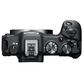 Canon EOS R8 Mirrorless Camera, , large