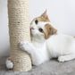 Timberlake Petmaker Cat Scratching Post with Perch, , large