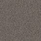 Dixie Home Guard Carpet in Frenchie, , large