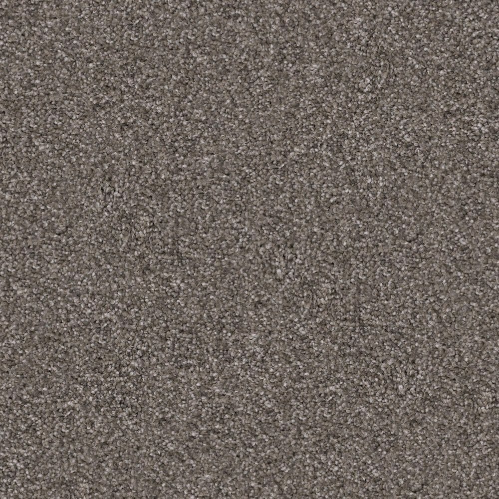 Dixie Home Guard Carpet in Frenchie, , large