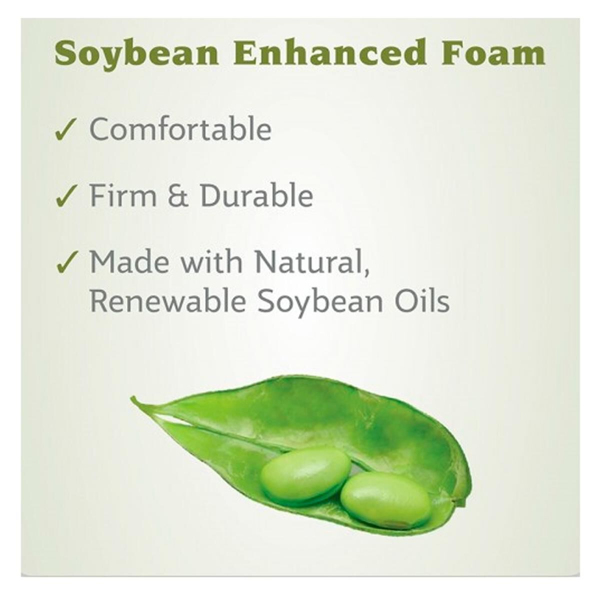 Sealy soybean on sale