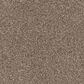 Dixie Home Bella Carpet in Pinscher, , large