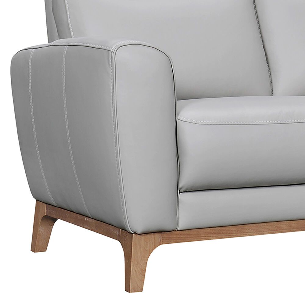 Blue River Greyson Stationary Sofa in Dove Gray, , large