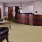Shaw Modern Traditions Carpet in Curry, , large