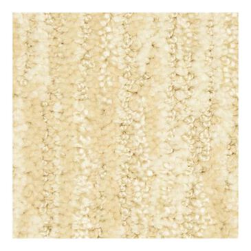Dixie Home Hamden Carpet in Munsell, , large