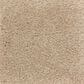 Mohawk Homefront III 2R33 Carpet in Sandcastle, , large