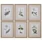 Uttermost Botanical Study Prints (Set of 6), , large