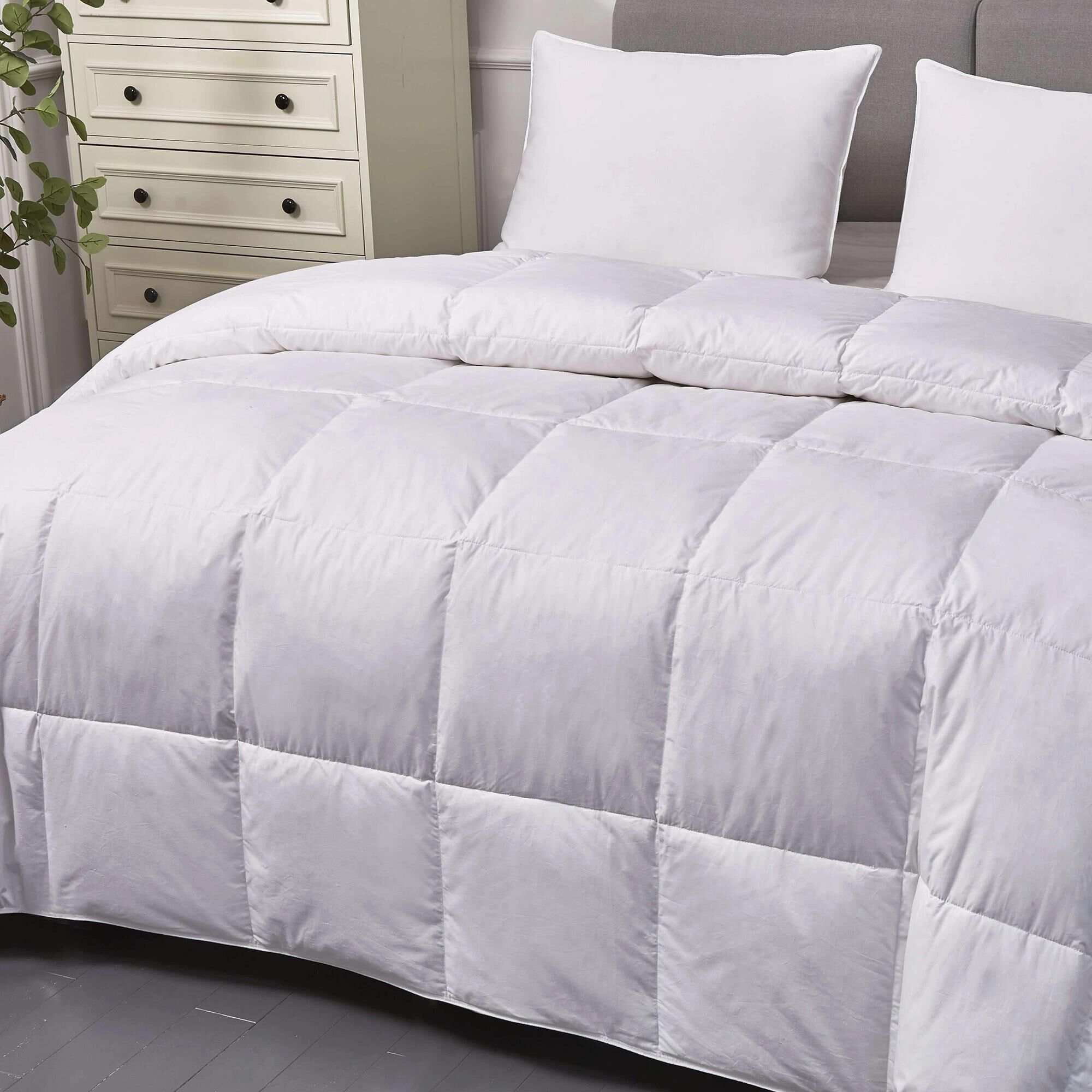 Blue Ridge Home Fashions Naples 700 Thread Count Twin Down