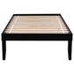 Linon Home Decor Polly Twin Platform Bed in Bold Black, , large