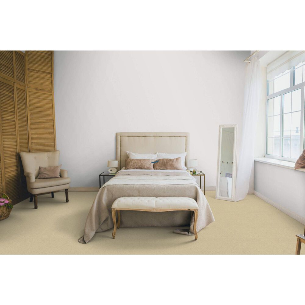 Dixie Home Debut Carpet in Whisper Bluff, , large