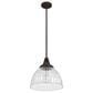 Hunter Cypress Grove 13" 1-Light Pendant in Onyx Bengal, , large
