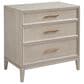 Lexington Home Brands Copacabana Avila 3 Drawer Nightstand in Sea Mist, , large