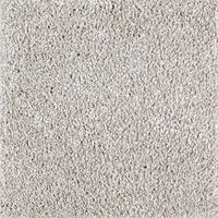 carpet remnant
