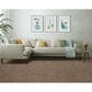 Mohawk Timberline Carpet in Clay, , large