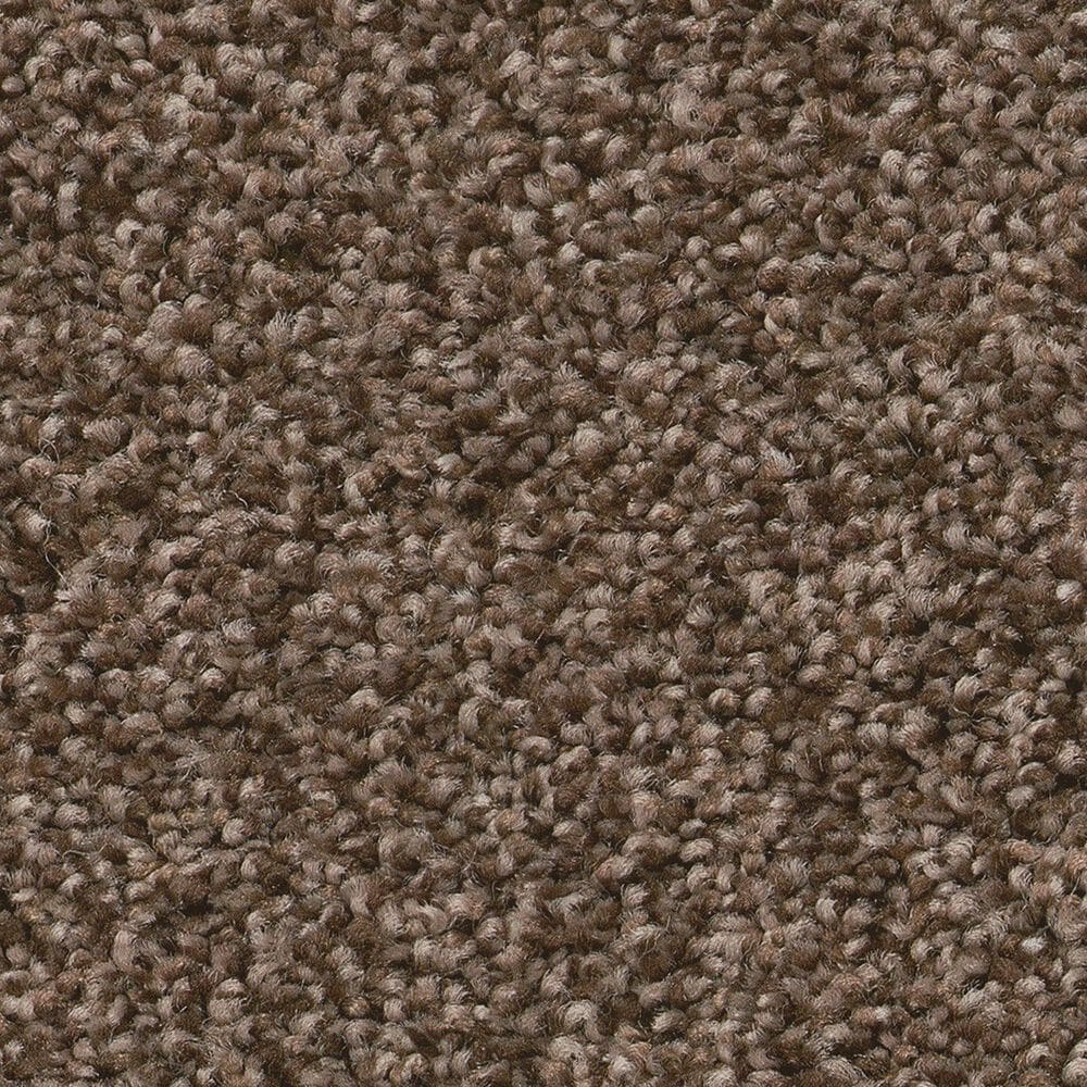 Shaw Pure Comfort II Carpet in Cliff Hiking, , large