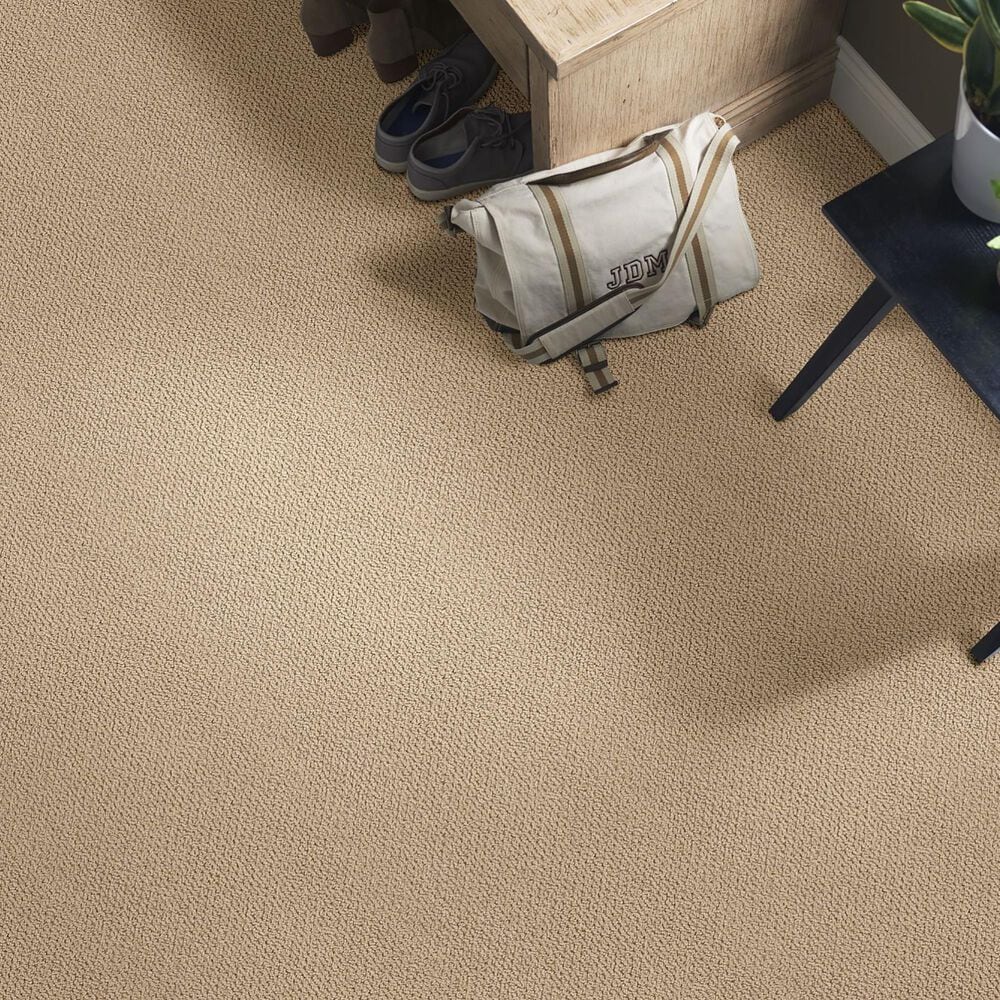 Anderson Tuftex Crafted Carpet in Golden, , large
