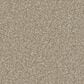Phenix Illusion Gold Carpet in Amazing, , large