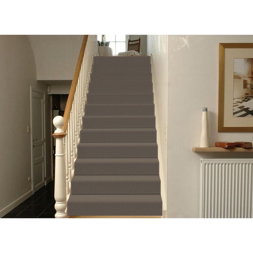 Phenix Bari Carpet in Traditional, , large