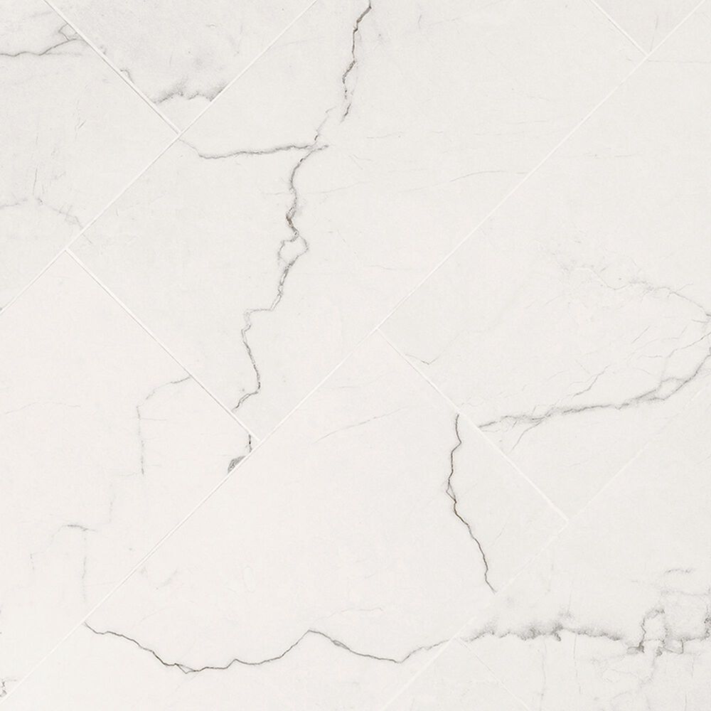 MS International Brighton Grey 12" x 24" Matte Porcelain Tile, , large