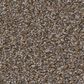 Shaw Tweed Comfort Blue Carpet in Gathering, , large