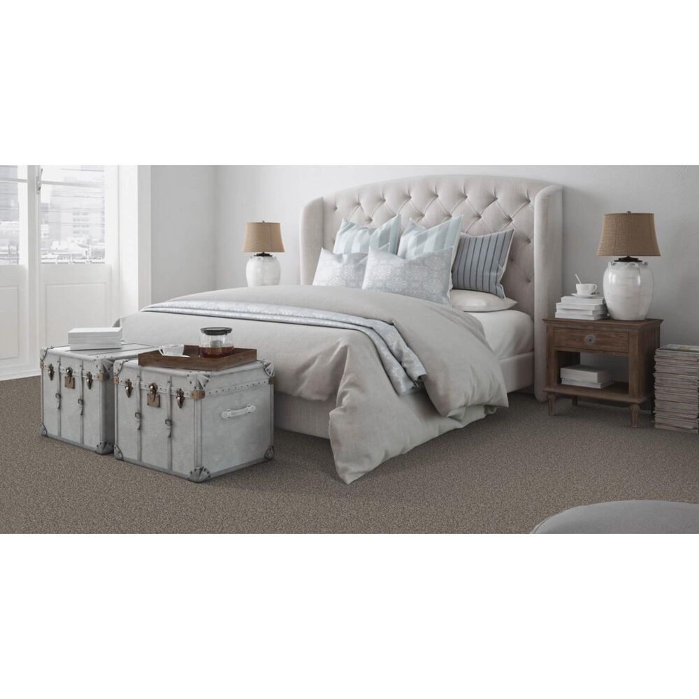 Dixie Home Admire Carpet in Hematite, , large
