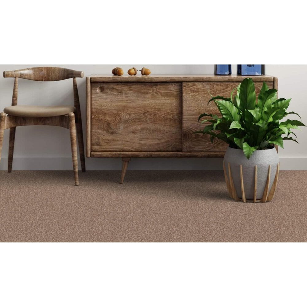 Dixie Home Bella Carpet in Bark, , large