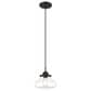 Golden Lighting Nash Small Pendant in Matte Black, , large