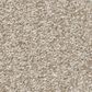 Shaw You Got This I Carpet in Natural, , large