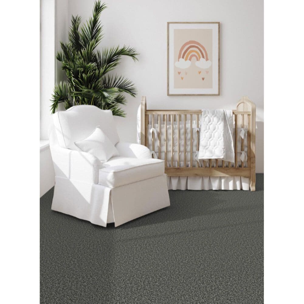 Dixie Home Riverbend Carpet in Onyx, , large