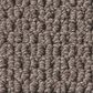 Shaw Perspective Path Carpet in Cappuccino, , large