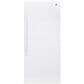 GE Appliances 21.3 Cu. Ft. Frost-Free Upright Freezer, , large