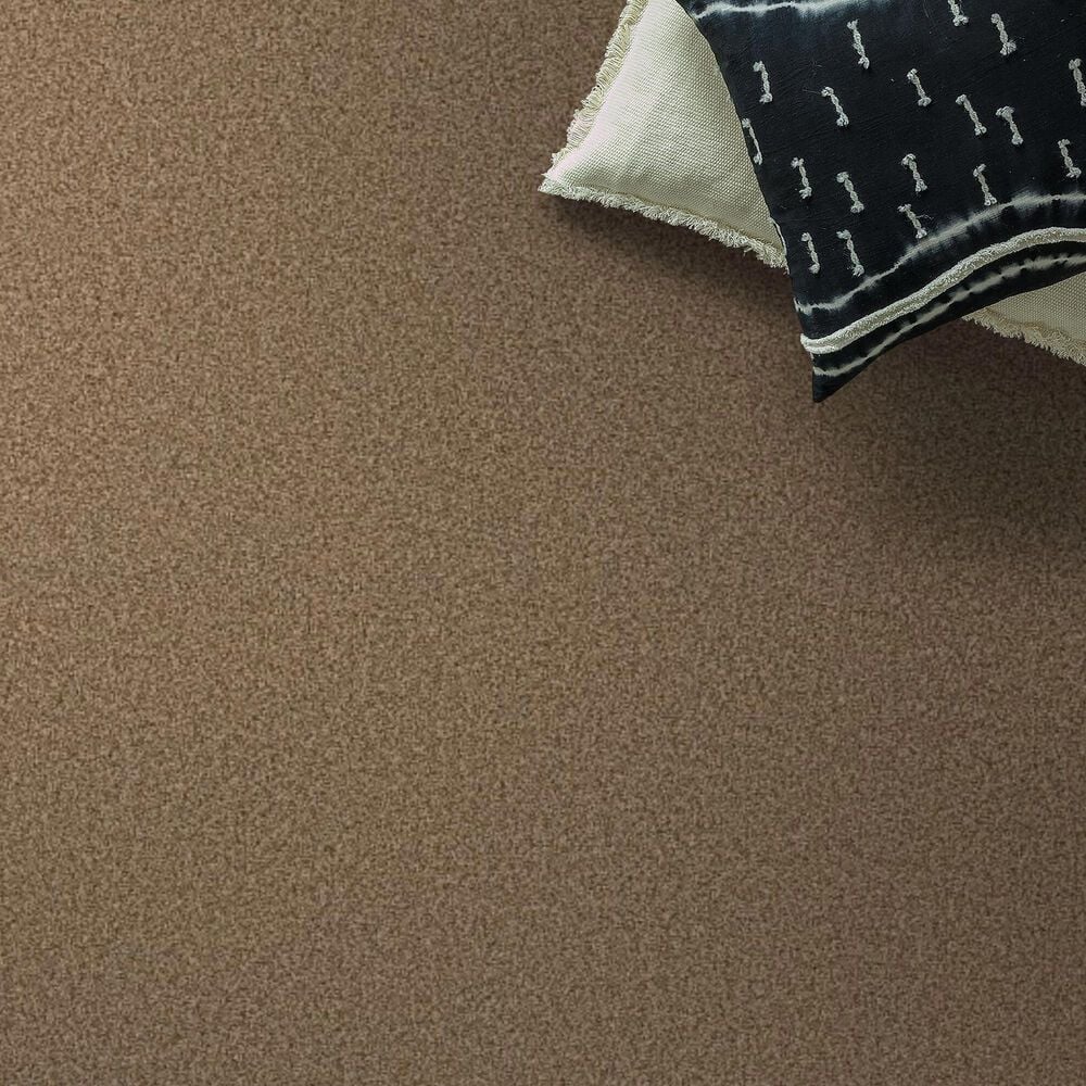 Anderson Tuftex Fabulous Carpet in Toasty, , large