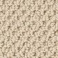 Anderson Tuftex Gracious Carpet in Creamy, , large