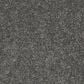 Anderson Tuftex Barracan Classic IV Carpet in Onyx, , large