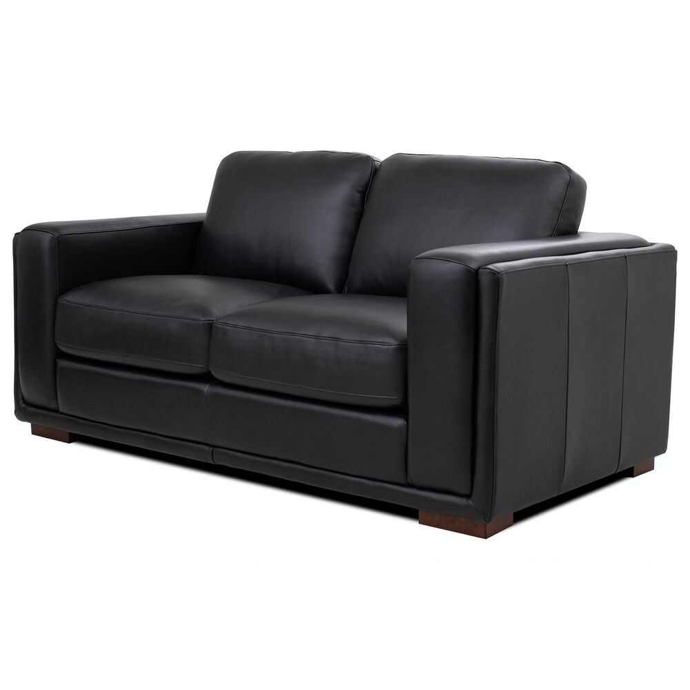 Italiano Furniture Luca Stationary Loveseat in Black, , large