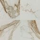 MS International Regallo Calacatta Marbella 24" x 24" Polished Porcelain Tile, , large
