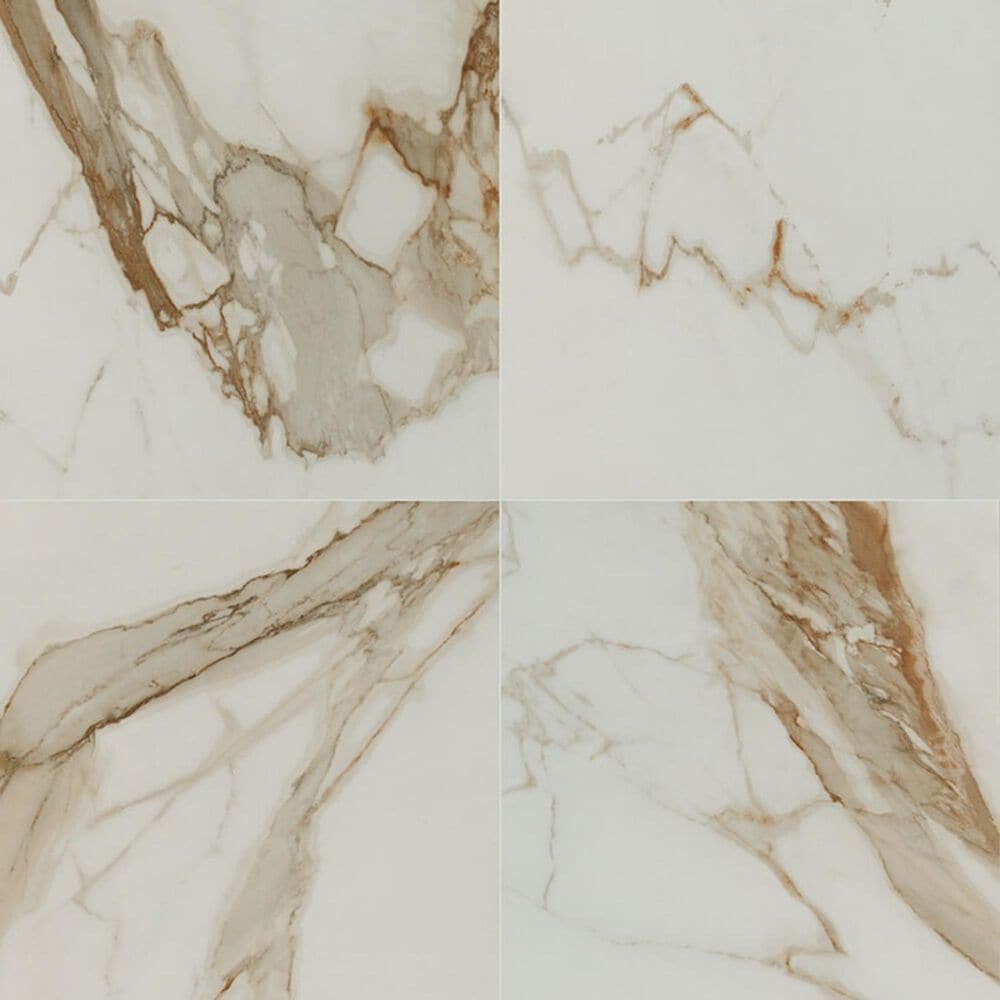 MS International Regallo Calacatta Marbella 24" x 24" Polished Porcelain Tile, , large