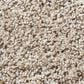 Shaw Abilene II Carpet in Pencil Sketch, , large