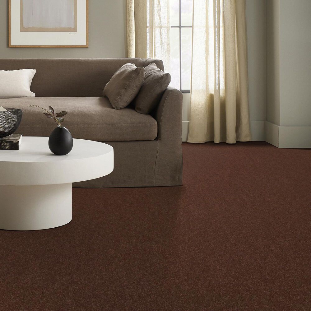 Shaw Hard At Play II Carpet in Orange Oxide, , large